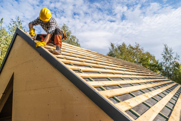 Best Sealant for Roof  in Shoshone, ID